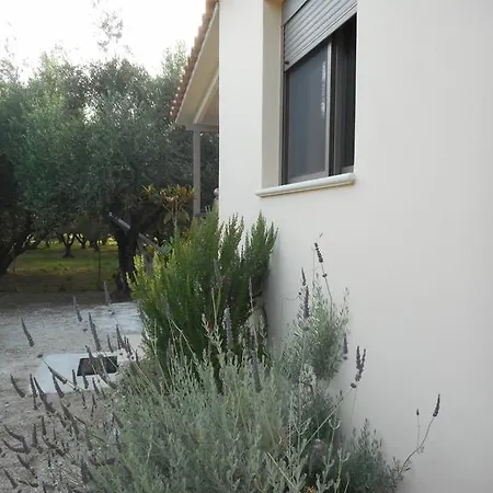 House Liberta